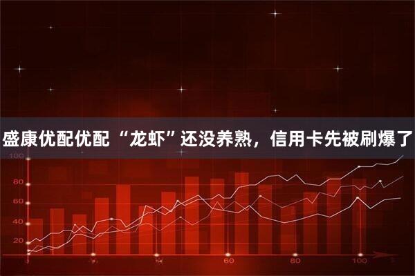 盛康优配优配 “龙虾”还没养熟，信用卡先被刷爆了