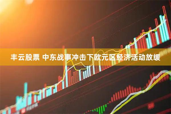 丰云股票 中东战事冲击下欧元区经济活动放缓
