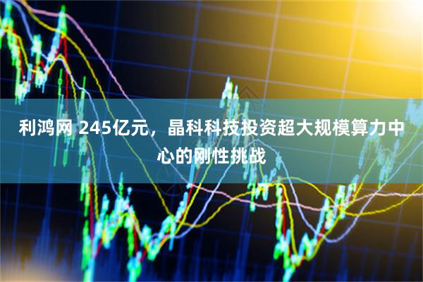 利鸿网 245亿元，晶科科技投资超大规模算力中心的刚性挑战