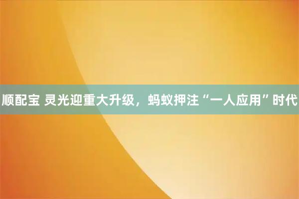 顺配宝 灵光迎重大升级，蚂蚁押注“一人应用”时代