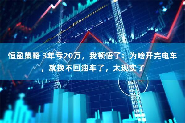 恒盈策略 3年亏20万，我顿悟了：为啥开完电车，就换不回油车了，太现实了