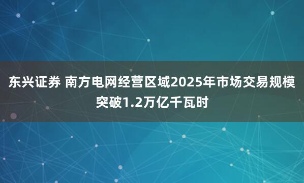 东兴证券 南方电网经营区域2025年市场交易规模突破1.2万亿千瓦时