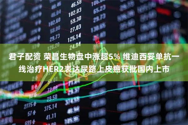 君子配资 荣昌生物盘中涨超5% 维迪西妥单抗一线治疗HER2表达尿路上皮癌获批国内上市
