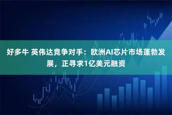 好多牛 英伟达竞争对手：欧洲AI芯片市场蓬勃发展，正寻求1亿美元融资