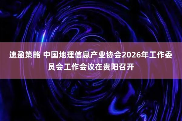 速盈策略 中国地理信息产业协会2026年工作委员会工作会议在贵阳召开