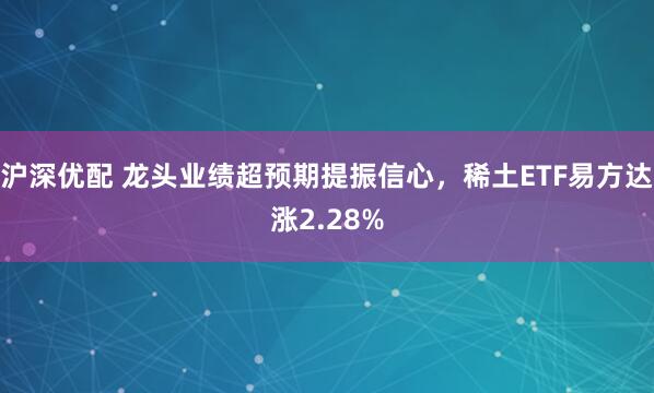 沪深优配 龙头业绩超预期提振信心，稀土ETF易方达涨2.28%