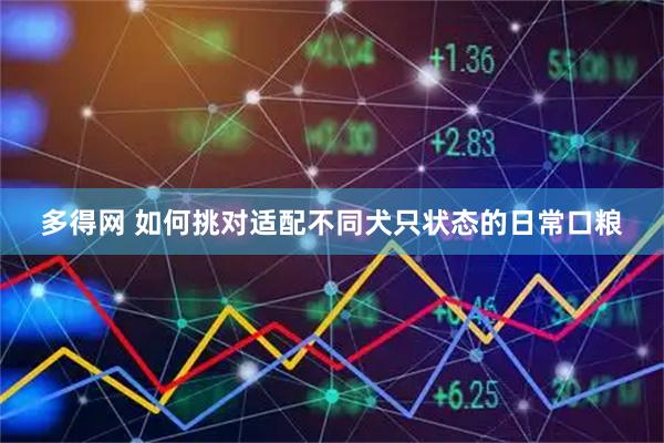 多得网 如何挑对适配不同犬只状态的日常口粮