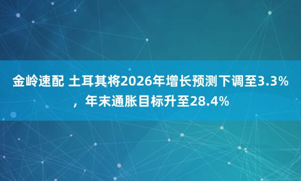 金岭速配 土耳其将2026年增长预测下调至3.3%,年末通胀目标升至28.4%